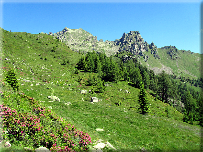 foto Forcella di Valsorda